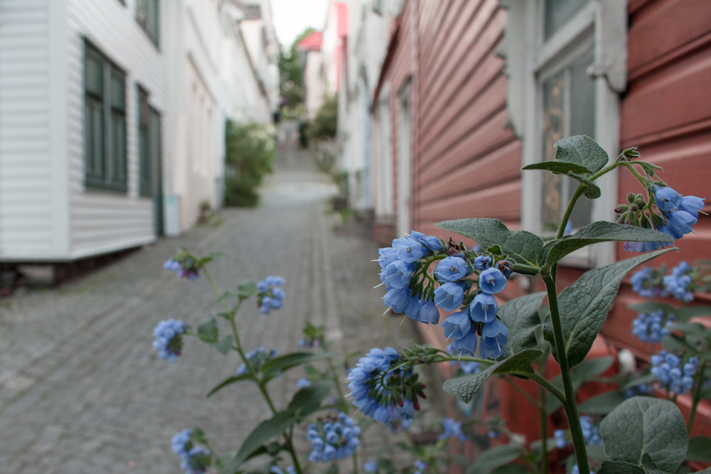 Bergen