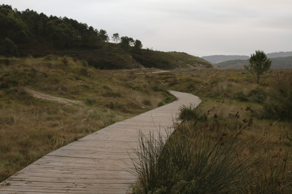 Galicia