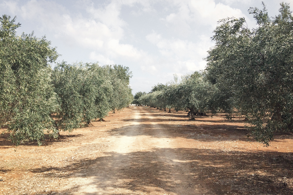 Puglia